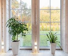 欧宝体育注册-窗口期足总杯传出新动向，巴塞罗那官宣签约，管理层表态——气氛紧张，临场指挥获称赞